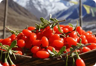 Goji berry extract